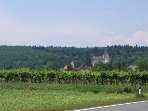 IMG_2444.jpg
